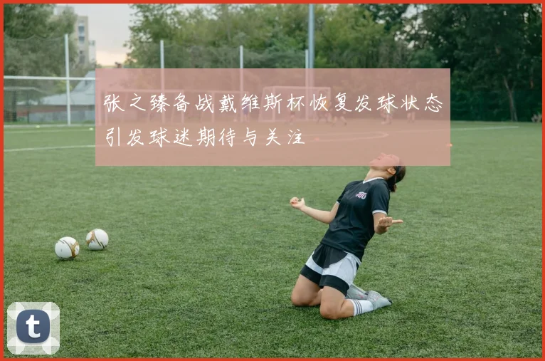 张之臻备战戴维斯杯恢复发球状态引发球迷期待与关注
