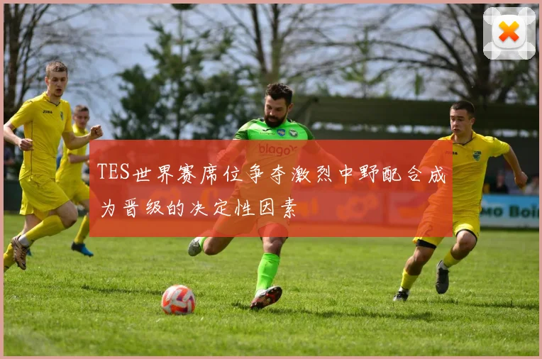 TES世界赛席位争夺激烈中野配合成为晋级的决定性因素